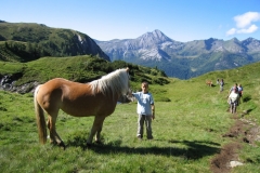 Wandern-mit-Pferden_07-1-1030x773