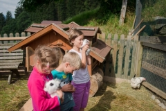Streicheltierzoo-am-Bauernhof
