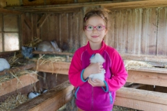 Streicheltierzoo-am-Bauernhof