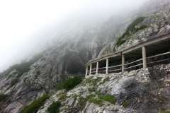 Wandern-rund-um-den-Irxner-Bergbauernhof