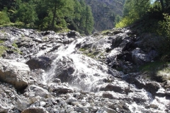 Wandern-rund-um-den-Irxner-Bergbauernhof