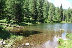Wandern-rund-um-den-Irxner-Bergbauernhof