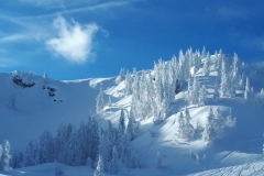 Winter-beim-Irxner