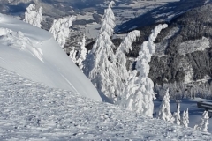 Winter-beim-Irxner